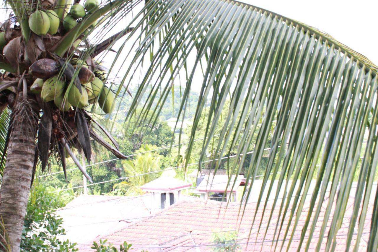 Resident View Homestay Kandy Eksteriør bilde